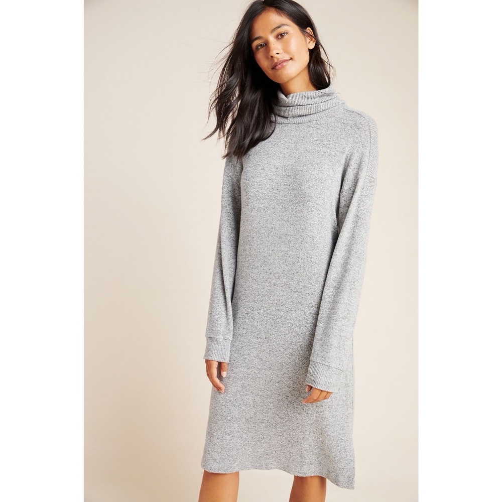 Anthropologie Turtleneck Dress